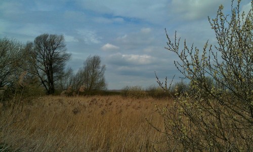 01 Lakenheath Fen with Lata, Pad and Tom
