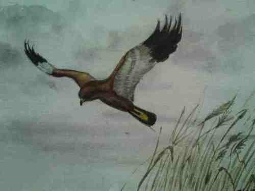 531191_147711122032909_1826987294_n