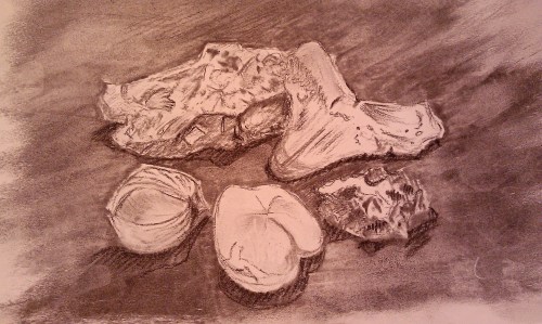 2016 05 Items from Sedgwick Museum